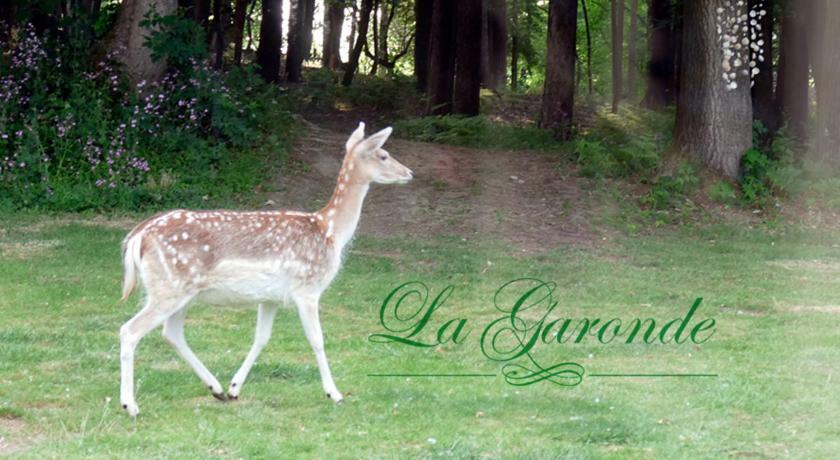 Bed and Breakfast La Garonde Boeschepe Екстер'єр фото