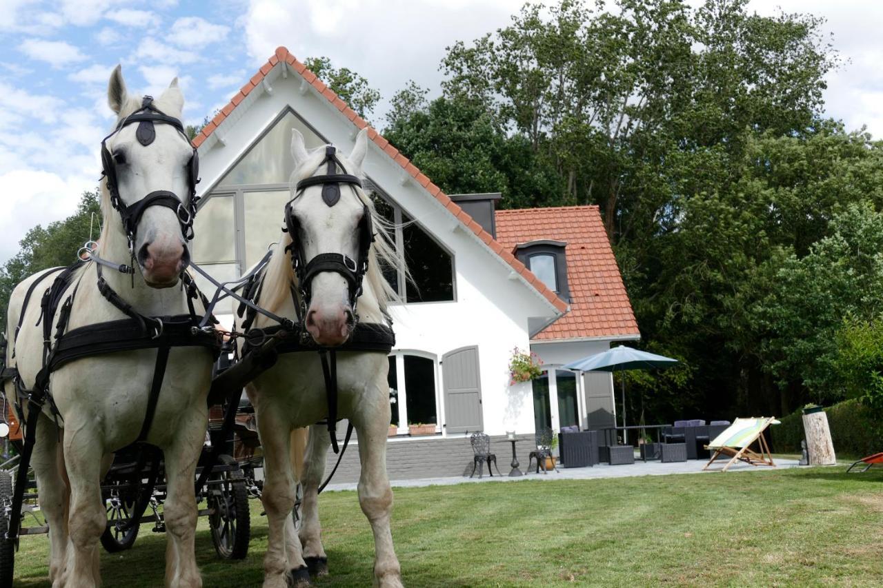 Bed and Breakfast La Garonde Boeschepe Екстер'єр фото
